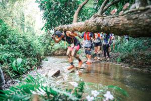 BIB: 
                            <button type="button" onclick="openModal(25514170)" class="btn btn-primary btn-sm float-right btn-popup" data-toggle="modal" data-target=".modal-high-quality">
                        <i class="fas fa-shopping-cart"></i> Add to Cart
                    </button>
                                            <button type="button" onclick="isThisMe(25514170, true)" class="btn btn-success btn-sm float-right btn-popup btn-isme hidden" data-toggle="tooltip" data-placement="bottom" title="นี่คือรูปของคุณใช่ไหม คลิกที่นี่เพื่อเอาเข้าอัลบั้ม">
                        <i class="fas fa-plus"></i> Add to album
                    </button>
                    <button type="button" onclick="isThisMe(25514170, false)" class="btn btn-warning btn-sm float-right btn-popup btn-isnotme hidden">
                        <i class="fas fa-ban"></i> Remove from album
                    </button>